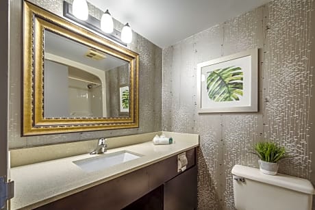 Queen Suite with Jetted Tub (1 Queen Bed)