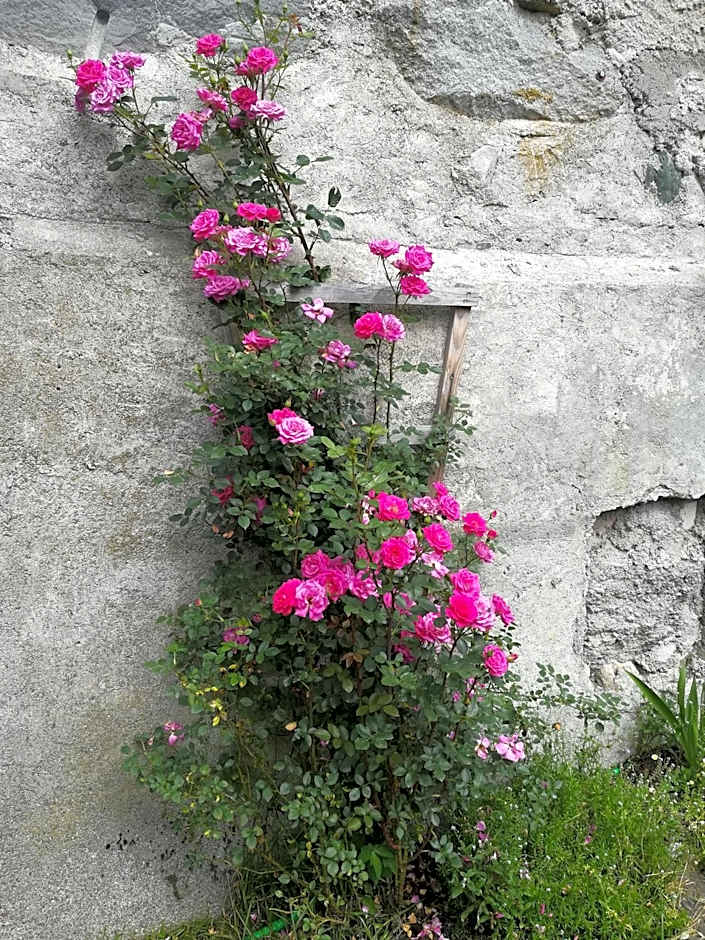 Mühlnerhof Familie Gruber