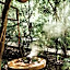Copal Tulum Hotel