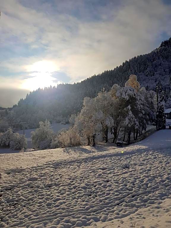 Adonis Les Terrasses Des Bottieres By Olydea