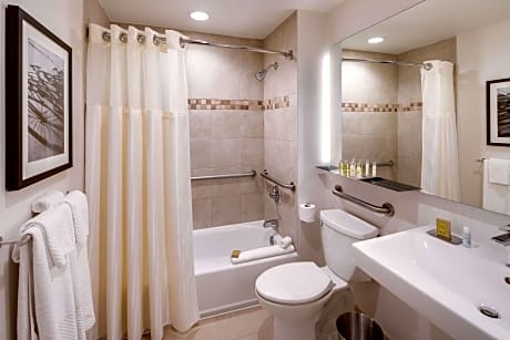 1 King Jr Suite Mobility Accessible W/Tub