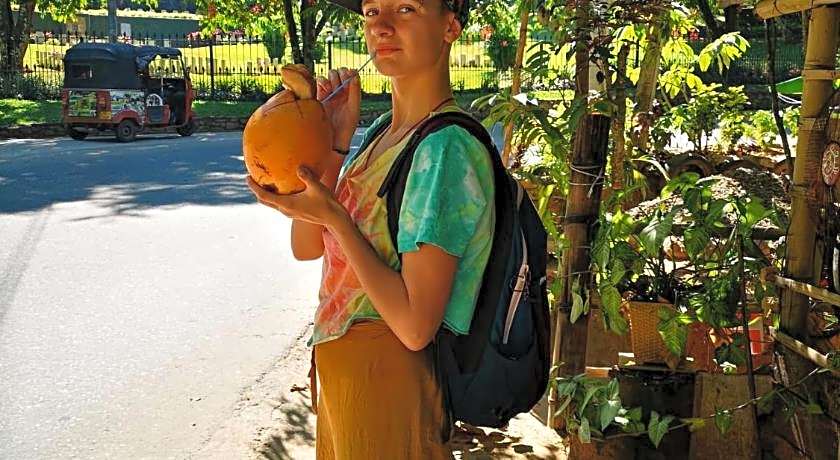 Funk Bunk Inn - Bed & Breakfast