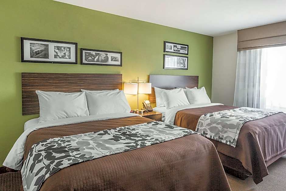 Photo 1 of 4 of 2 Queen Beds, Accessible
