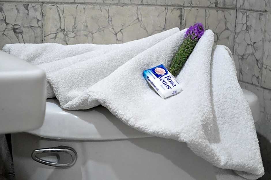 Hotel Metropolitan II