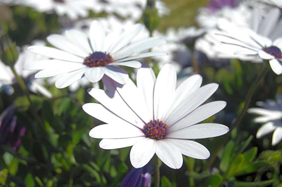 Gateway Motor Lodge - Wanganui