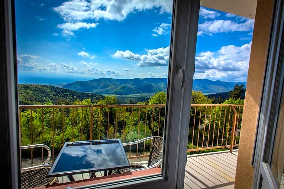 Alexain Hotel Restaurant & Wellness - Colmar Ouest