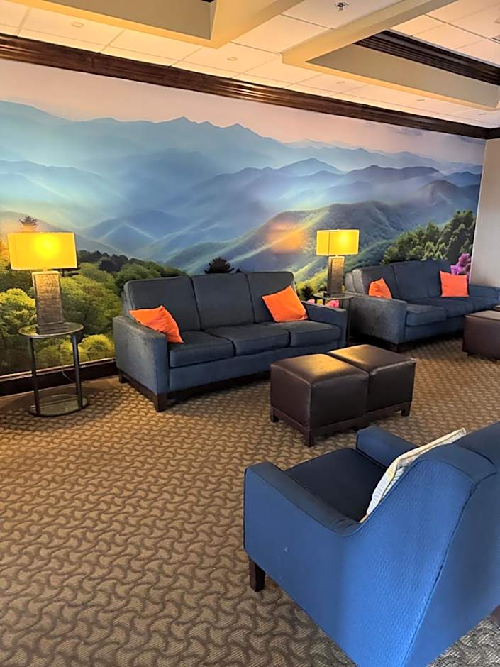 Vista Suites Near Island and Leconte Convention Center