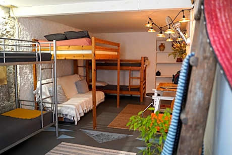 Bunk Bed in Mixed Dormitory Room