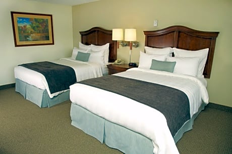 Standard Double Room with Two Double Beds