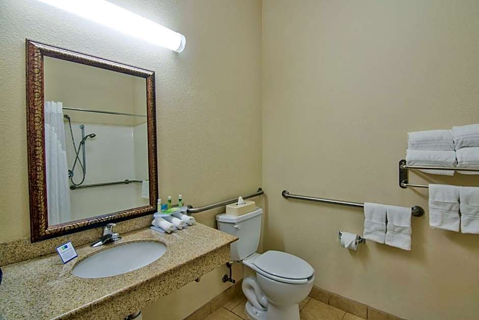 Holiday Inn Express Hotel & Suites Terrell By IHG