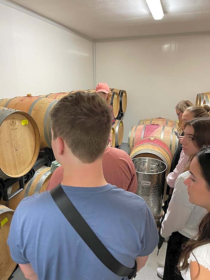 The Way Hotel Molinaseca