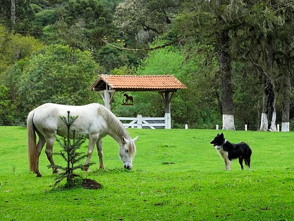 Pousada Recanto dos Pôneis Rio Rufino Urubici
