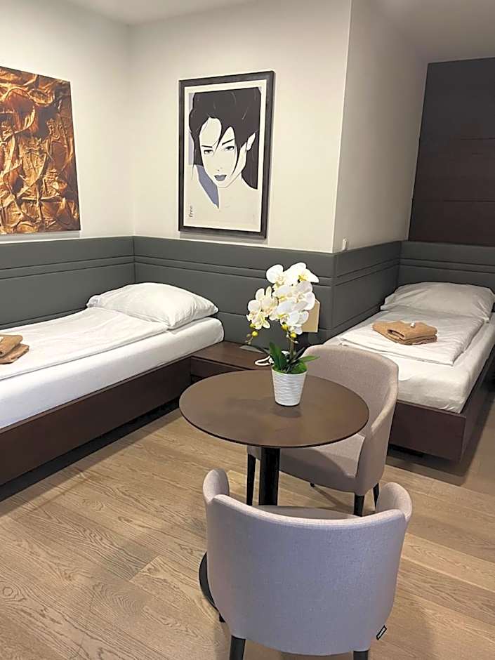 Hotel Harmony Medical & Wellness-Free Parking, 1,8km from the center