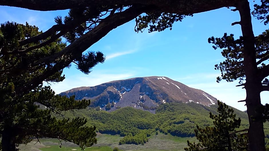 Tana Libera Tutti 1 Nature, Yourself, Love