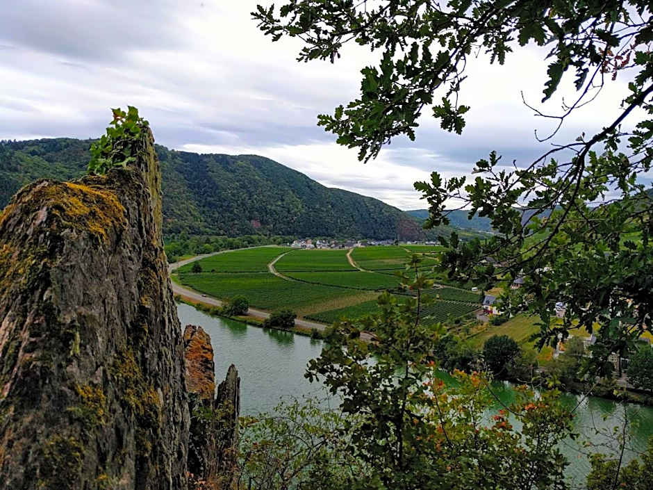 Weingut Pension Hammes-Krüger
