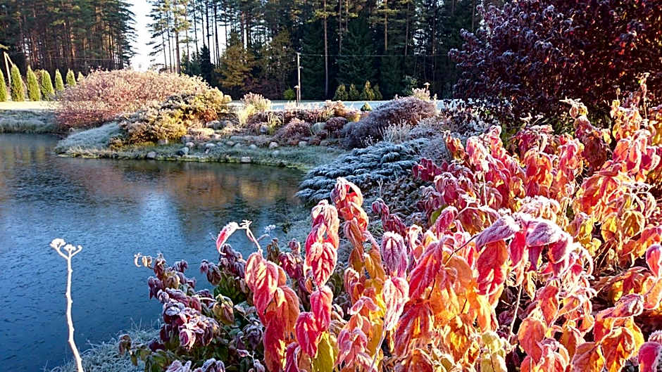 Kõrveküla Holiday Centre