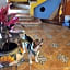 Hotel Villarreal
