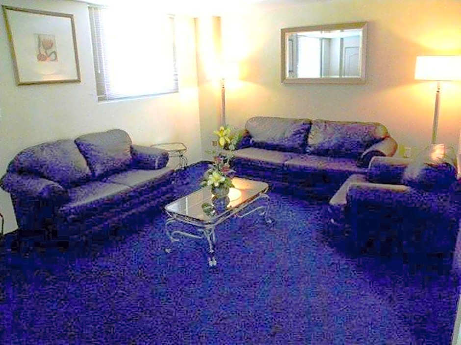 Hotel San Francisco Irapuato Business Class