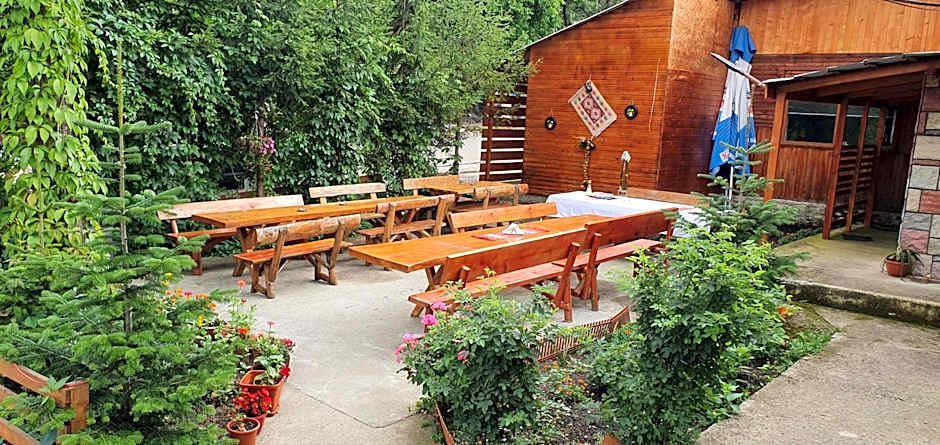 Casa de Vacanta Neagu