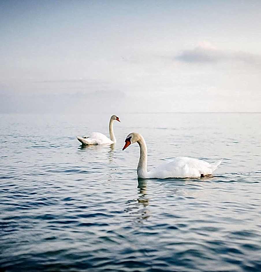 Hotel Nuova Barcaccia