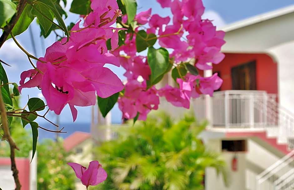 Les Merveilleux Flots de la Mer
