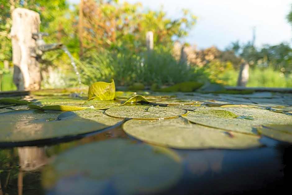 Les Jardins des Soussilanges