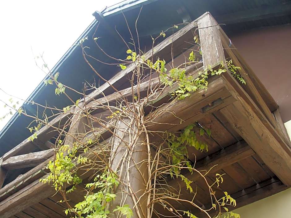 Pokoje i domki Saraceńska Chata