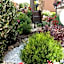Le Bassotte b&b