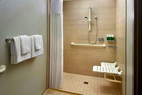 Room, 1 King Bed with Sofa bed (Hearing Accessible) (1 King Bed and 1 Double Sofa Bed)