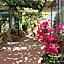 Villa dei fiori B&B