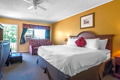 Suite with 1 King bed and Sofabed - No Smoking, No Pets