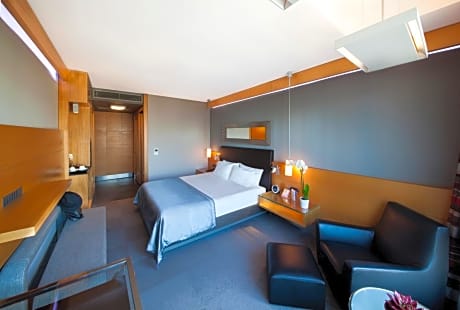 Deluxe 1 King Bed