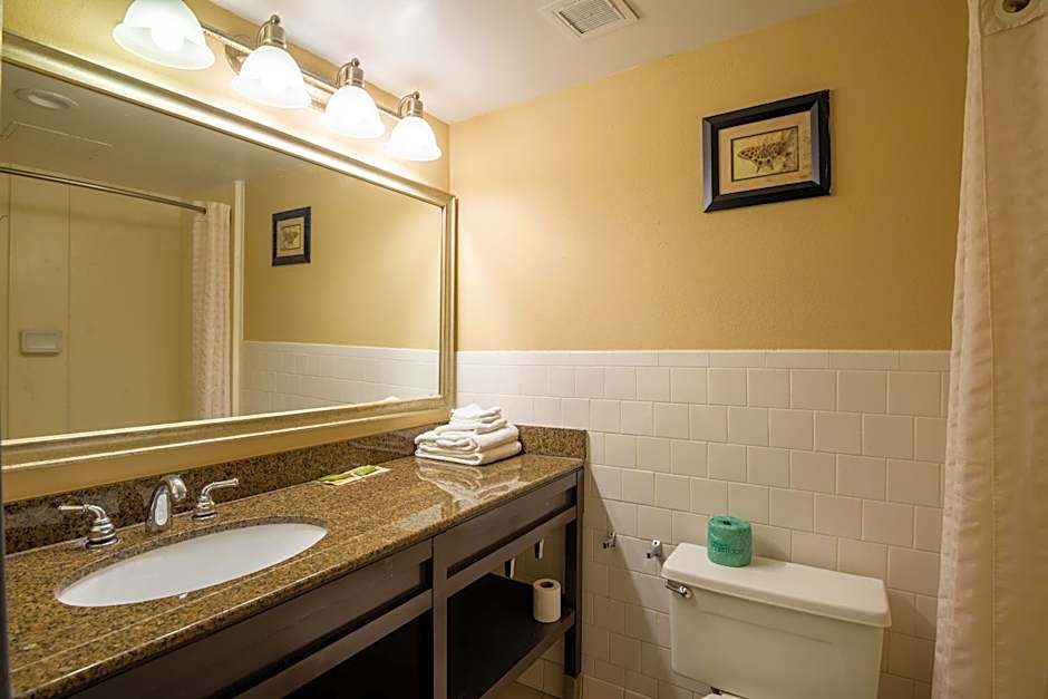 Dominion Inn and Suites