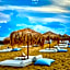 Onyx Beach Residence - Free Beach Access & Parking