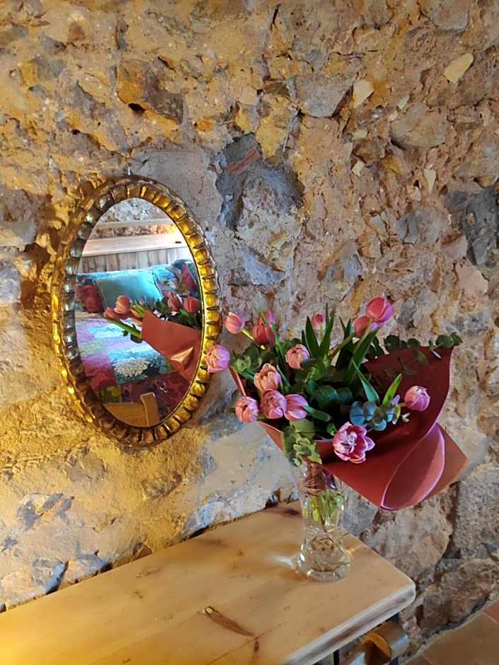 Mas Del Llop Blanc - Dog friendly Hostal Rural - B&B