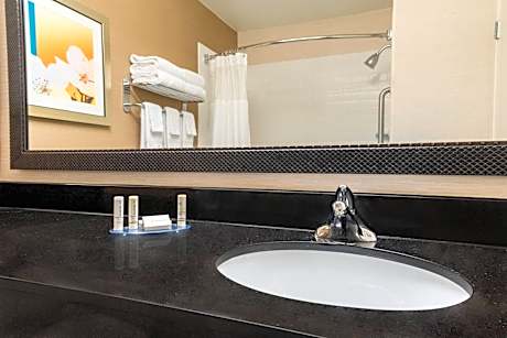 Executive king suite with Sofa Bed - Mobility and Hearing Accessible with Tub