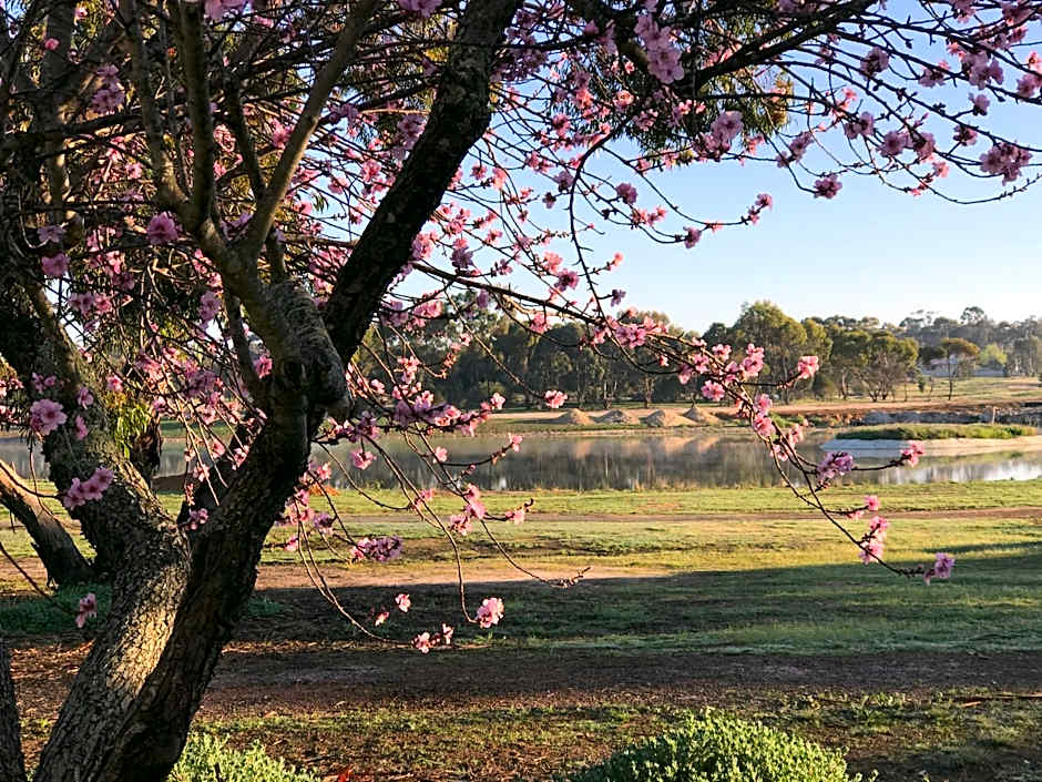 Yellow Gum Bed and Breakfast