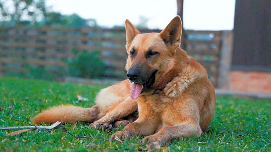 Fazenda Fernandes, pousada, gastronomia e lazer.