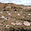 Wander Camp Bryce Canyon - Escalante