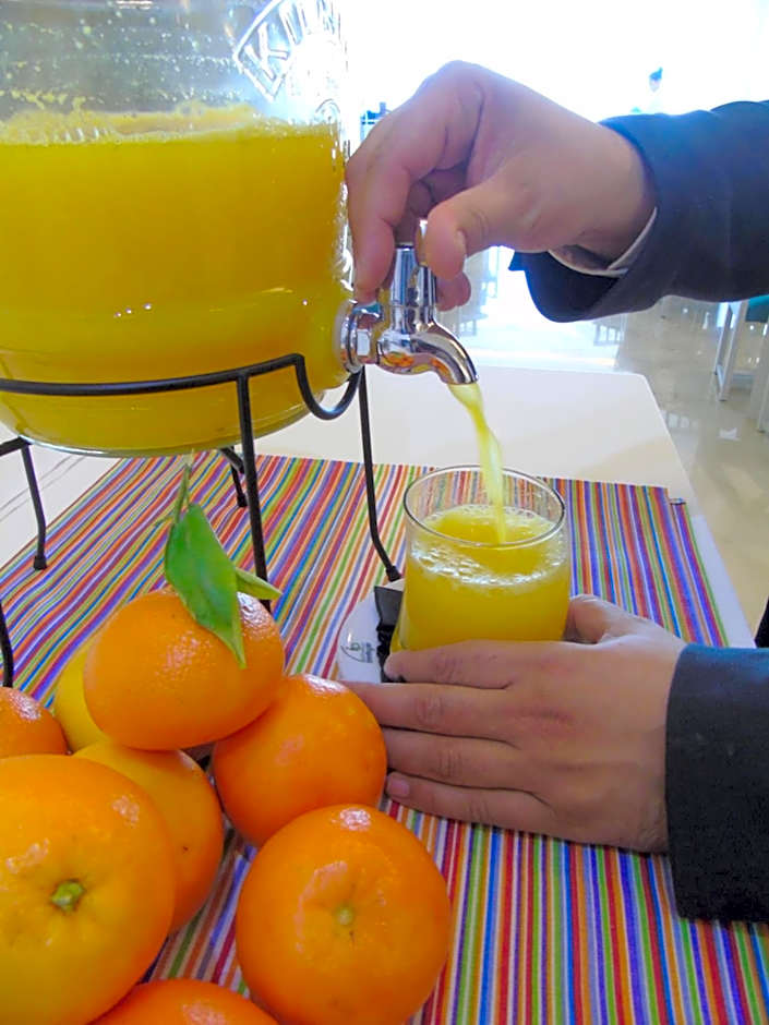 Aparthotel Fontanellas Playa