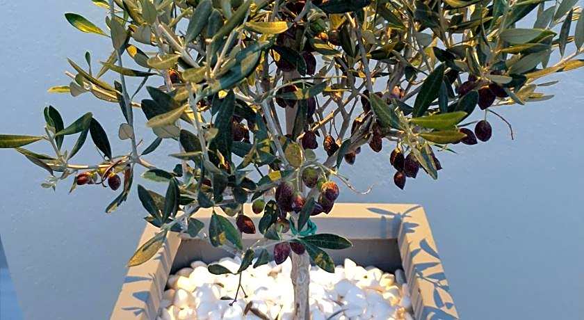 Impero Luxury Suites Nafplio