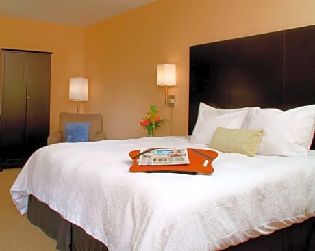  1 QUEEN MOBILITY ACCESS W/TUB NONSMOKING - HDTV/FREE WI-FI/WORK AREA - HOT BREAKFAST INCLUDED -