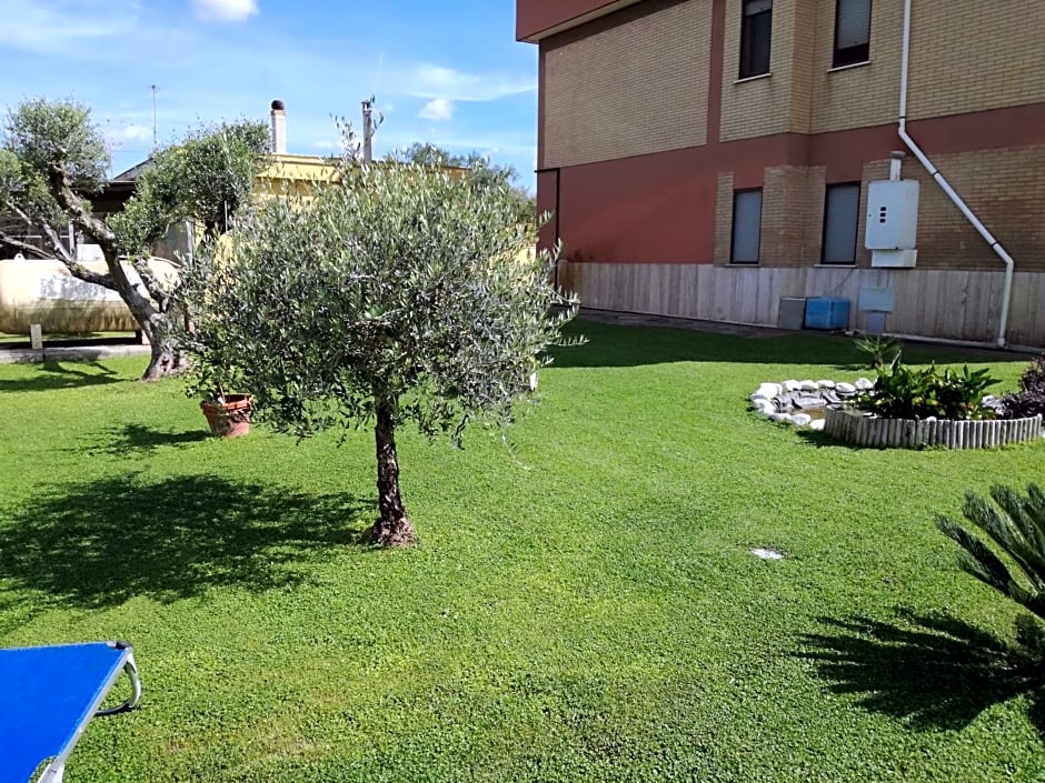 B&B Casa degli Ulivi