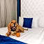 Medano Hotel and Spa