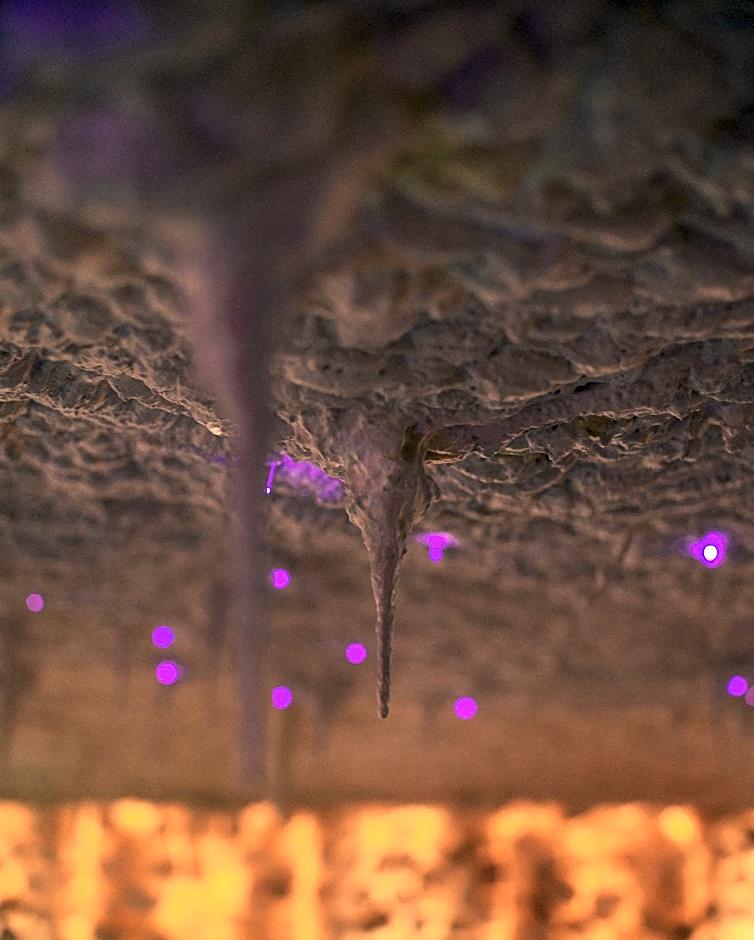 AGA Tenis Apartments by Radwańska