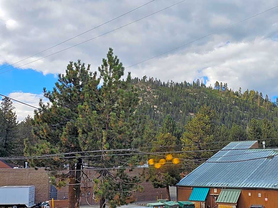 Cinnamon Bear Inn Bed And Breakfast