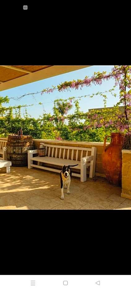Residenza Case Arse