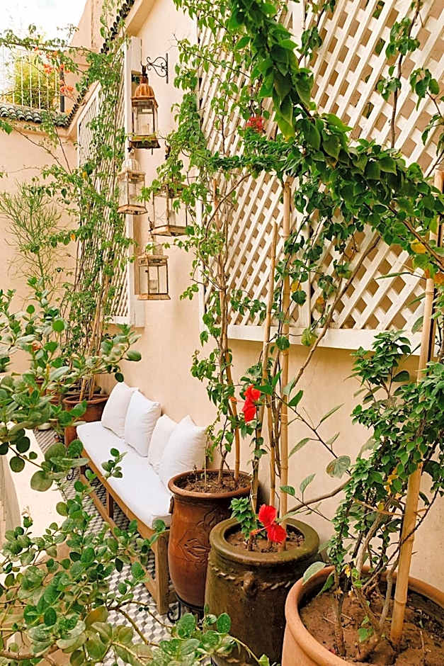 Riad Maison 24