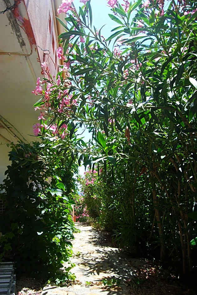 Maria Rooms