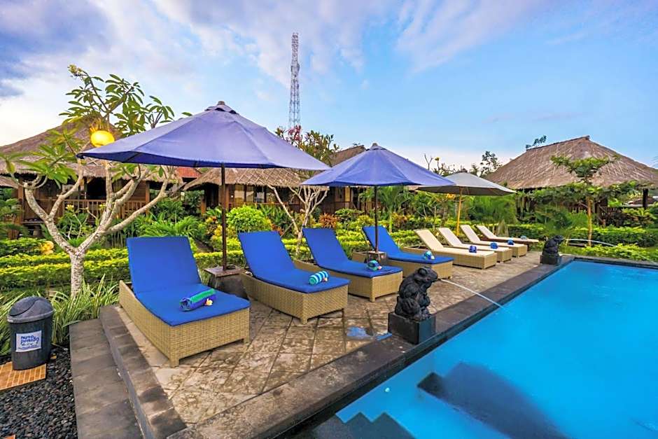 Laguna Reef Huts